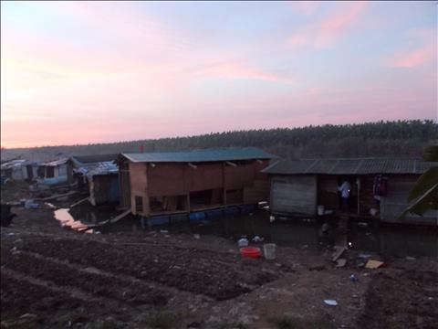  To xo so may man va tam long cua cap vo chong gia hinh anh