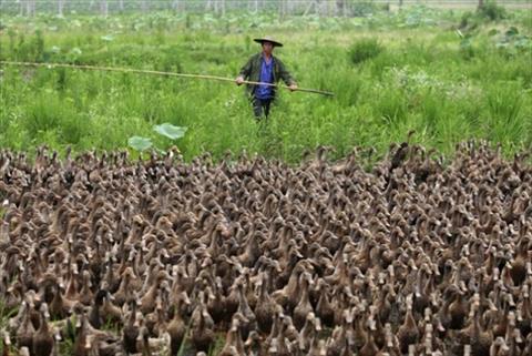 Trúng số nhưng nghèo vẫn hoàn nghèo hình ảnh Trung so nhung ngheo van hoan ngheo hinh anh