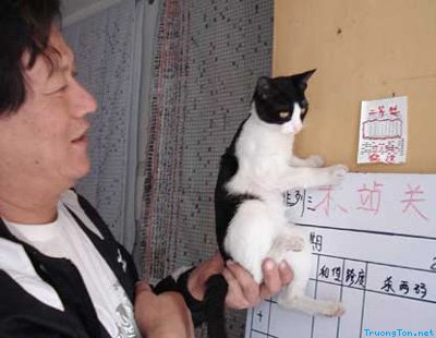  Nhung cau chuyen trung so khong the tin noi hinh anh 3