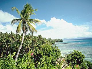  Nhung cau chuyen trung so khong the tin noi hinh anh