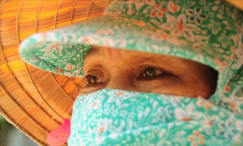 Nguoi ban ve so dao Toi nhan duoc mi gao tiep te roi khoi lo doi hinh anh