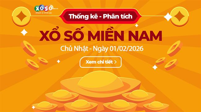 Thống Kê XSMN 01/02/2026 - Tổng Hợp Xổ Số Chủ Nhật Ngày 01/02